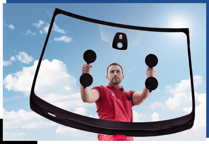 A man holding two black dumbbells in front of a mirror.